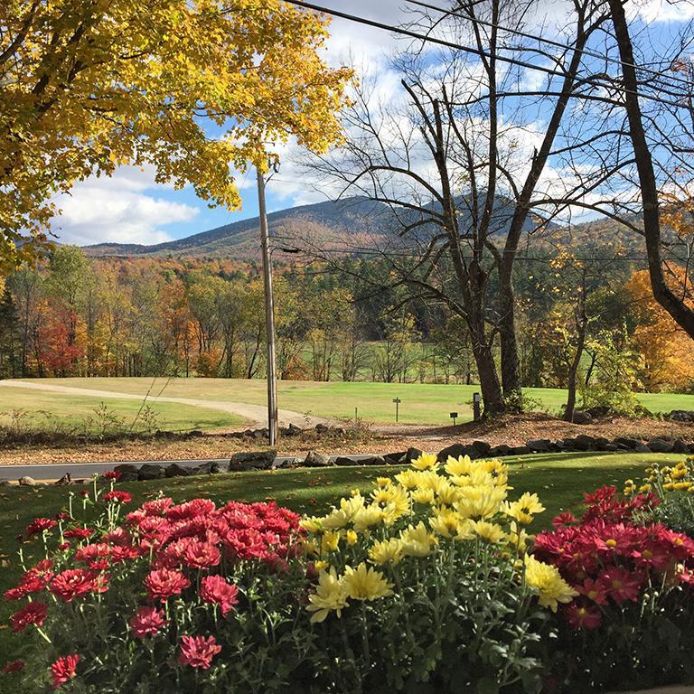 Carter Notch Inn Джексон Экстерьер фото